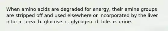 When amino acids are degraded for energy, their amine groups are stripped off and used elsewhere or incorporated by the liver into:​ a. ​urea. b. ​glucose. c. ​glycogen. d. bile.​ e. ​urine.