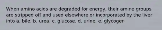 When amino acids are degraded for energy, their amine groups are stripped off and used elsewhere or incorporated by the liver into a. bile.​ ​b. urea. ​c. glucose. ​d. urine. ​e. glycogen