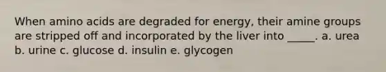 When amino acids are degraded for energy, their amine groups are stripped off and incorporated by the liver into _____. a. urea b. urine c. glucose d. insulin e. glycogen