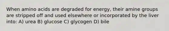 When amino acids are degraded for energy, their amine groups are stripped off and used elsewhere or incorporated by the liver into: A) urea B) glucose C) glycogen D) bile