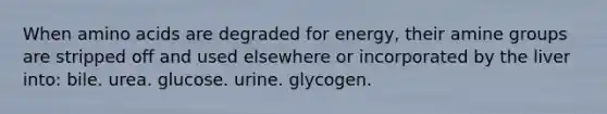 When amino acids are degraded for energy, their amine groups are stripped off and used elsewhere or incorporated by the liver into:​ bile. ​urea. ​glucose. ​urine. ​glycogen.