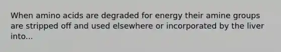 When <a href='https://www.questionai.com/knowledge/k9gb720LCl-amino-acids' class='anchor-knowledge'>amino acids</a> are degraded for energy their amine groups are stripped off and used elsewhere or incorporated by the liver into...