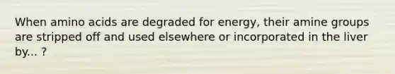 When amino acids are degraded for energy, their amine groups are stripped off and used elsewhere or incorporated in the liver by... ?