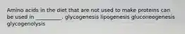 Amino acids in the diet that are not used to make proteins can be used in __________. glycogenesis lipogenesis gluconeogenesis glycogenolysis