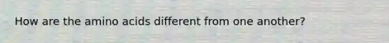 How are the amino acids different from one another?