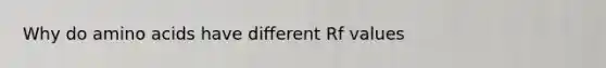 Why do amino acids have different Rf values