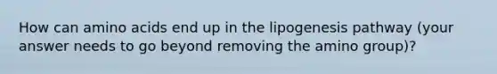 How can amino acids end up in the lipogenesis pathway (your answer needs to go beyond removing the amino group)?