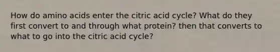 How do amino acids enter the citric acid cycle? What do they first convert to and through what protein? then that converts to what to go into the citric acid cycle?