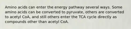 Amino acids can enter the energy pathway several ways. Some amino acids can be converted to pyruvate, others are converted to acetyl CoA, and still others enter the TCA cycle directly as compounds other than acetyl CoA.