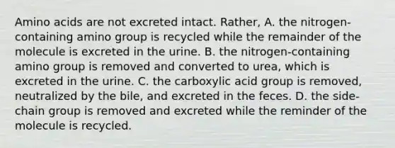 Amino acids are not excreted intact. Rather, A. the nitrogen-containing amino group is recycled while the remainder of the molecule is excreted in the urine. B. the nitrogen-containing amino group is removed and converted to urea, which is excreted in the urine. C. the carboxylic acid group is removed, neutralized by the bile, and excreted in the feces. D. the side-chain group is removed and excreted while the reminder of the molecule is recycled.