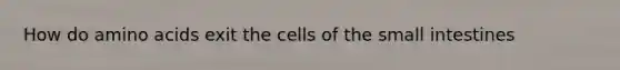 How do amino acids exit the cells of the small intestines