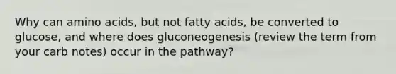 Why can amino acids, but not fatty acids, be converted to glucose, and where does gluconeogenesis (review the term from your carb notes) occur in the pathway?