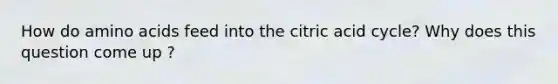 How do <a href='https://www.questionai.com/knowledge/k9gb720LCl-amino-acids' class='anchor-knowledge'>amino acids</a> feed into the citric acid cycle? Why does this question come up ?