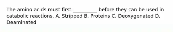 The amino acids must first __________ before they can be used in catabolic reactions. A. Stripped B. Proteins C. Deoxygenated D. Deaminated