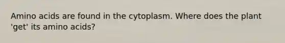 <a href='https://www.questionai.com/knowledge/k9gb720LCl-amino-acids' class='anchor-knowledge'>amino acids</a> are found in the cytoplasm. Where does the plant 'get' its amino acids?