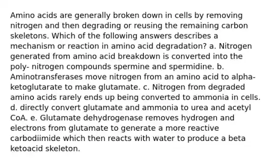 <a href='https://www.questionai.com/knowledge/k9gb720LCl-amino-acids' class='anchor-knowledge'>amino acids</a> are generally broken down in cells by removing nitrogen and then degrading or reusing the remaining carbon skeletons. Which of the following answers describes a mechanism or reaction in amino acid degradation? a. Nitrogen generated from amino acid breakdown is converted into the poly- nitrogen compounds spermine and spermidine. b. Aminotransferases move nitrogen from an amino acid to alpha-ketoglutarate to make glutamate. c. Nitrogen from degraded amino acids rarely ends up being converted to ammonia in cells. d. directly convert glutamate and ammonia to urea and acetyl CoA. e. Glutamate dehydrogenase removes hydrogen and electrons from glutamate to generate a more reactive carbodiimide which then reacts with water to produce a beta ketoacid skeleton.