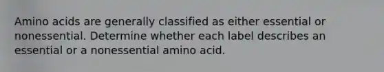 Amino acids are generally classified as either essential or nonessential. Determine whether each label describes an essential or a nonessential amino acid.