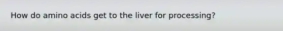 How do amino acids get to the liver for processing?