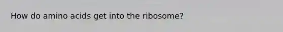 How do amino acids get into the ribosome?