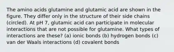 The <a href='https://www.questionai.com/knowledge/k9gb720LCl-amino-acids' class='anchor-knowledge'>amino acids</a> glutamine and glutamic acid are shown in the figure. They differ only in the structure of their side chains (circled). At pH 7, glutamic acid can participate in molecular interactions that are not possible for glutamine. What types of interactions are these? (a) <a href='https://www.questionai.com/knowledge/kvOuFG6fy1-ionic-bonds' class='anchor-knowledge'>ionic bonds</a> (b) hydrogen bonds (c) van der Waals interactions (d) <a href='https://www.questionai.com/knowledge/kWply8IKUM-covalent-bonds' class='anchor-knowledge'>covalent bonds</a>