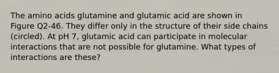 The amino acids glutamine and glutamic acid are shown in Figure Q2-46. They differ only in the structure of their side chains (circled). At pH 7, glutamic acid can participate in molecular interactions that are not possible for glutamine. What types of interactions are these?