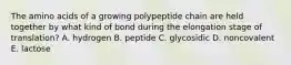 The amino acids of a growing polypeptide chain are held together by what kind of bond during the elongation stage of translation? A. hydrogen B. peptide C. glycosidic D. noncovalent E. lactose