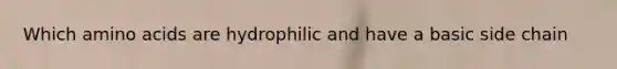 Which amino acids are hydrophilic and have a basic side chain