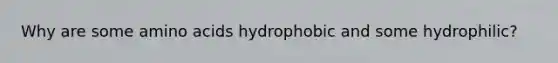 Why are some amino acids hydrophobic and some hydrophilic?