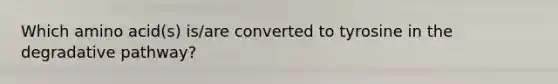 Which amino acid(s) is/are converted to tyrosine in the degradative pathway?