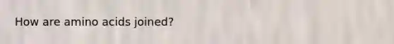 How are <a href='https://www.questionai.com/knowledge/k9gb720LCl-amino-acids' class='anchor-knowledge'>amino acids</a> joined?
