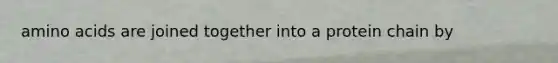 amino acids are joined together into a protein chain by