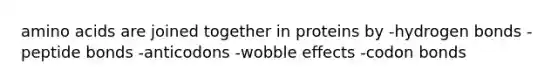 amino acids are joined together in proteins by -hydrogen bonds -peptide bonds -anticodons -wobble effects -codon bonds