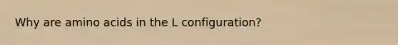 Why are <a href='https://www.questionai.com/knowledge/k9gb720LCl-amino-acids' class='anchor-knowledge'>amino acids</a> in the L configuration?