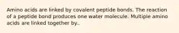 Amino acids are linked by covalent peptide bonds. The reaction of a peptide bond produces one water molecule. Multiple amino acids are linked together by..