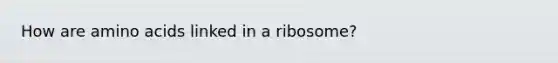 How are amino acids linked in a ribosome?