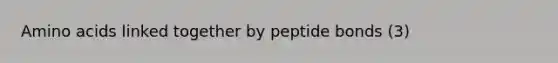 Amino acids linked together by peptide bonds (3)