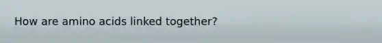 How are <a href='https://www.questionai.com/knowledge/k9gb720LCl-amino-acids' class='anchor-knowledge'>amino acids</a> linked together?