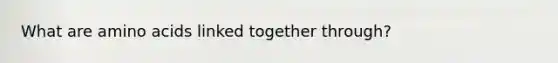 What are amino acids linked together through?