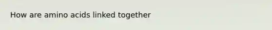 How are amino acids linked together