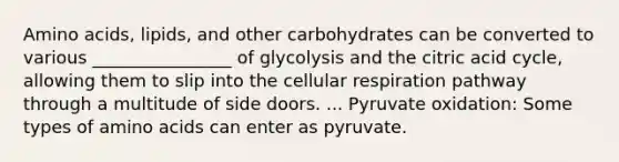 Amino acids, lipids, and other carbohydrates can be converted to various ________________ of glycolysis and the citric acid cycle, allowing them to slip into the cellular respiration pathway through a multitude of side doors. ... Pyruvate oxidation: Some types of amino acids can enter as pyruvate.