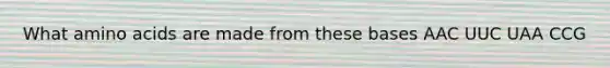 What amino acids are made from these bases AAC UUC UAA CCG