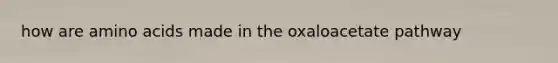 how are amino acids made in the oxaloacetate pathway