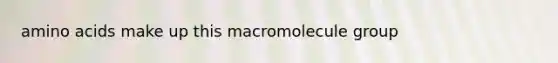 amino acids make up this macromolecule group