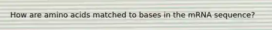 How are <a href='https://www.questionai.com/knowledge/k9gb720LCl-amino-acids' class='anchor-knowledge'>amino acids</a> matched to bases in the mRNA sequence?