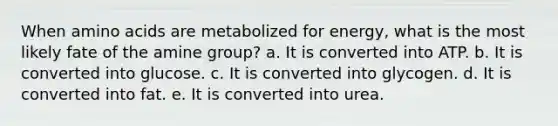 When amino acids are metabolized for energy, what is the most likely fate of the amine group? a. It is converted into ATP. b. It is converted into glucose. c. It is converted into glycogen. d. It is converted into fat. e. It is converted into urea.