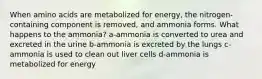 When amino acids are metabolized for energy, the nitrogen-containing component is removed, and ammonia forms. What happens to the ammonia? a-ammonia is converted to urea and excreted in the urine b-ammonia is excreted by the lungs c-ammonia is used to clean out liver cells d-ammonia is metabolized for energy