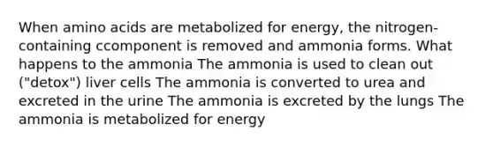 When amino acids are metabolized for energy, the nitrogen-containing ccomponent is removed and ammonia forms. What happens to the ammonia The ammonia is used to clean out ("detox") liver cells The ammonia is converted to urea and excreted in the urine The ammonia is excreted by the lungs The ammonia is metabolized for energy