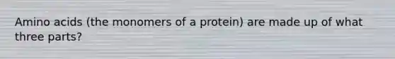 Amino acids (the monomers of a protein) are made up of what three parts?