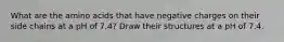 What are the amino acids that have negative charges on their side chains at a pH of 7.4? Draw their structures at a pH of 7.4.