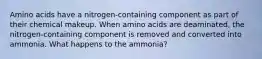 Amino acids have a nitrogen-containing component as part of their chemical makeup. When amino acids are deaminated, the nitrogen-containing component is removed and converted into ammonia. What happens to the ammonia?